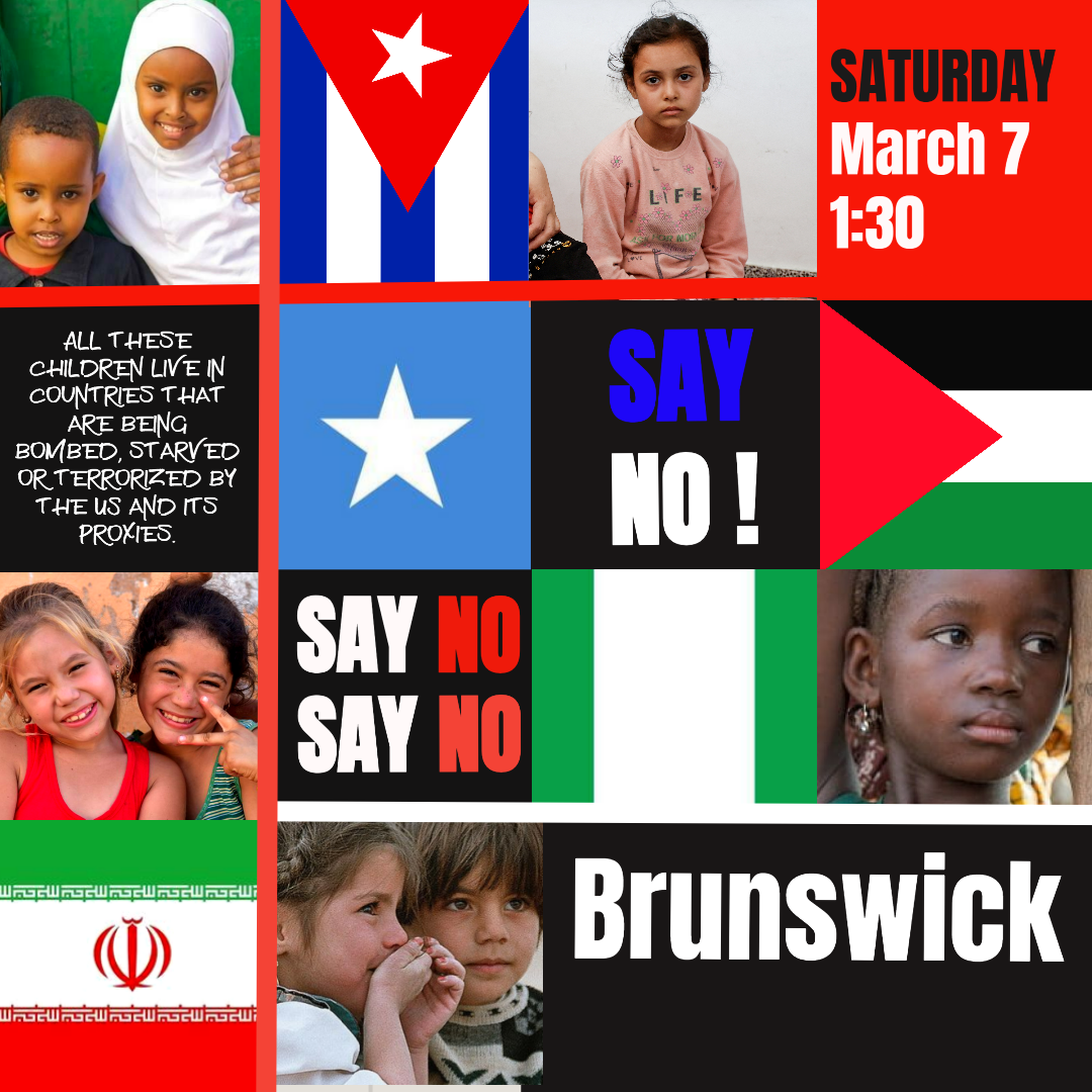 Say No! Protest Flyer